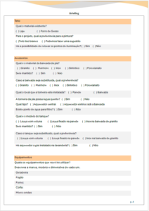 ex briefin pg5